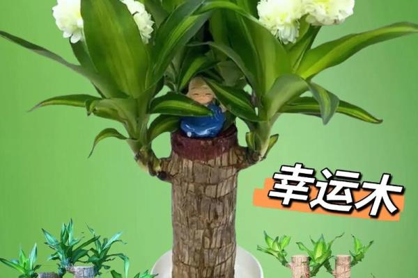 壬水命者的幸运饰品：助你开启人生的新篇章
