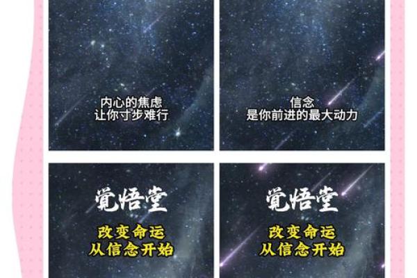 命运与信念：当你相信什么便成为什么