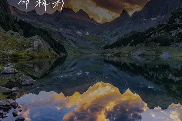 苦命的小孩与命运的抗争：爱的希望与坚持的力量