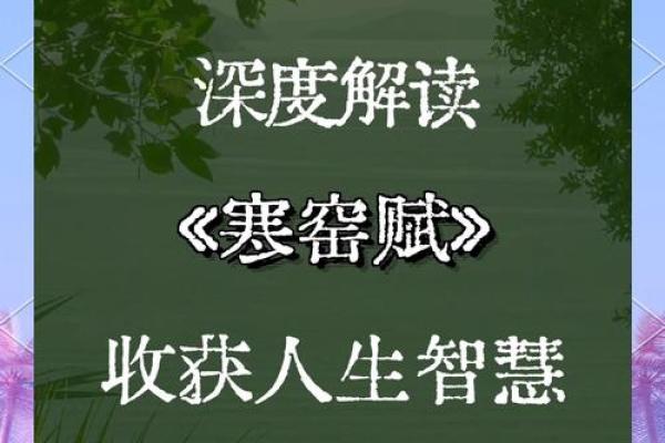 探寻道教智慧：命运的奥义与人生的走向
