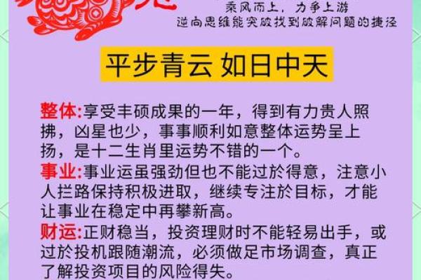 1982年属兔的命运解析：揭开兔子们的财富与幸福之路