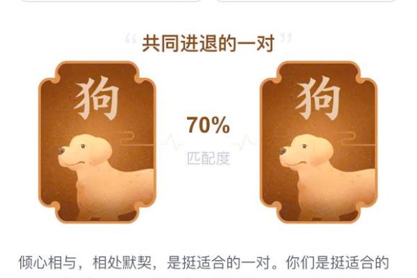 1994年出生男属狗：命格解析与人生启示