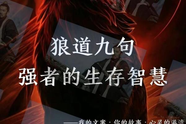 解读优秀命局的奥秘：人生的指引与机遇之路