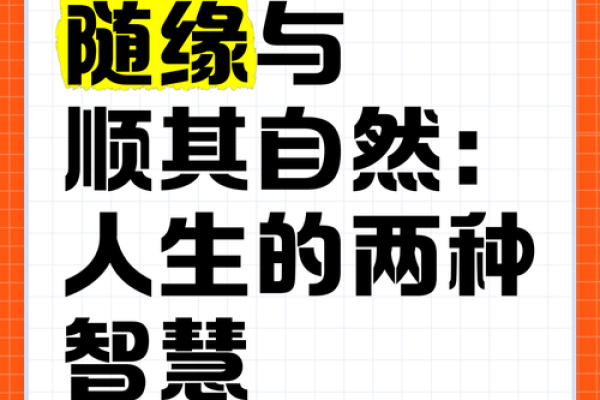 探秘“随命”——生活中的柔韧与顺应的艺术