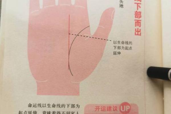 女人手秀气：掌握命运的细腻之美与人生解读