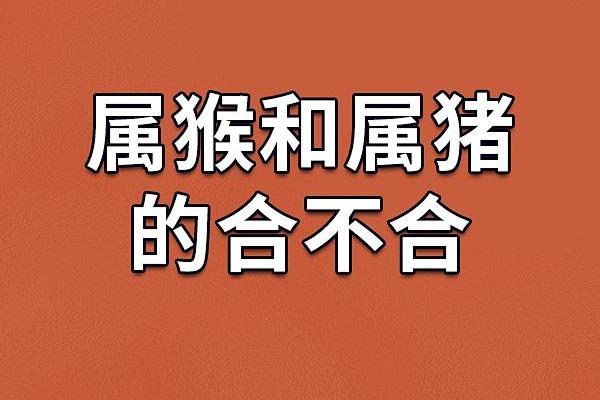1974年属猪的命运解析：幸福人生的秘密与挑战