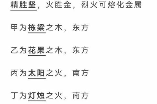 壬子桑松木命：揭秘人生奥秘与所需五行元素
