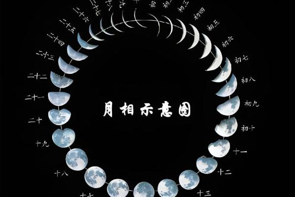 探秘农历十一月十四的命理之道：生活的平衡与智慧