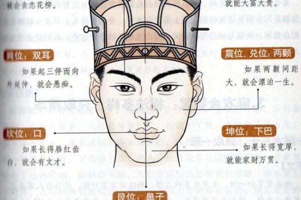 女人鼻头大的命运解析：独特面相与人生智慧的结合