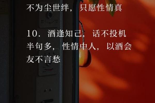 喝酒的夜晚，命运背后的解读
