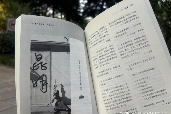 《命运的轮回：深邃的歌词与人生哲学探讨》