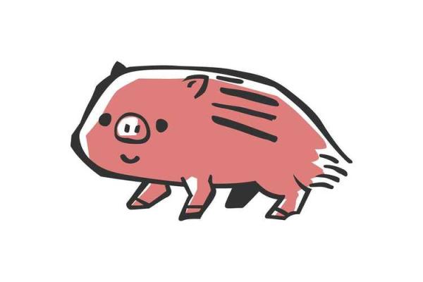 属猪人的操心命：为何他们总是心绪不宁？