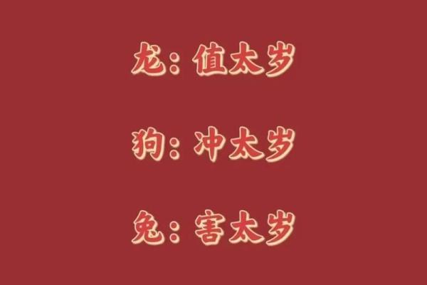 关于命理属相的智慧与应用，助你更好把握人生道路