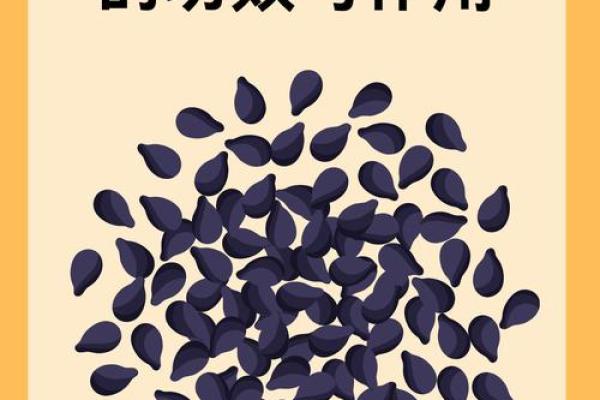 探索“没有那个”——深挖其背后的意义与价值