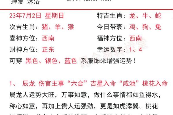 揭秘：狗年出生的小狗，命运如何？