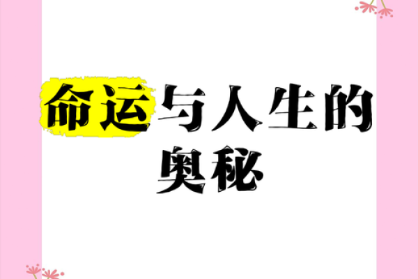 探索命运的轨迹：无知者的人生密码与美好未来
