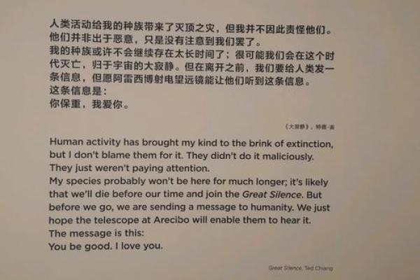 解密“今命”——探寻这一神秘概念的深层含义
