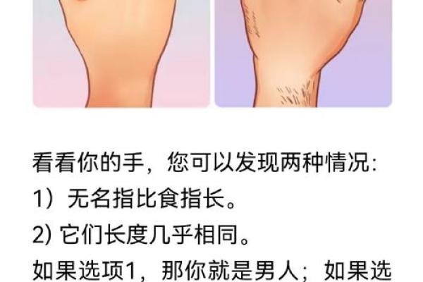 探秘命理：指节细长与粗大的奥秘分析