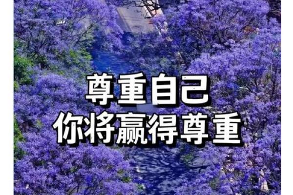 从辱骂到尊重：重塑人际关系的智慧之路