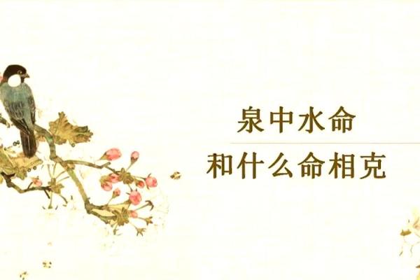 泉中水命与涧下水命：水之灵动与深邃的对比探索