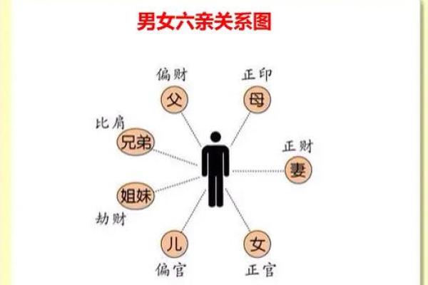揭秘木命八字：如何判断五行缺失与喜用方向
