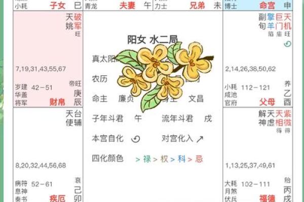 揭秘紫薇命理：在八字中她象征着什么样的命运与特征？