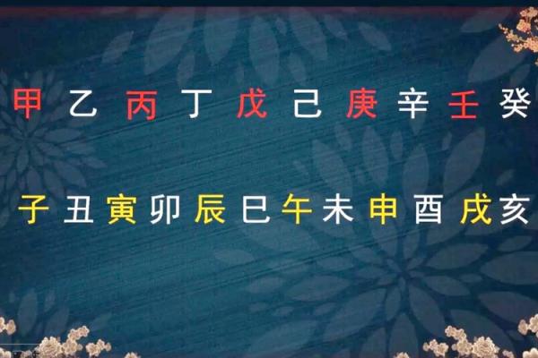 在甲子轮回中探索91年生人之命运之谜