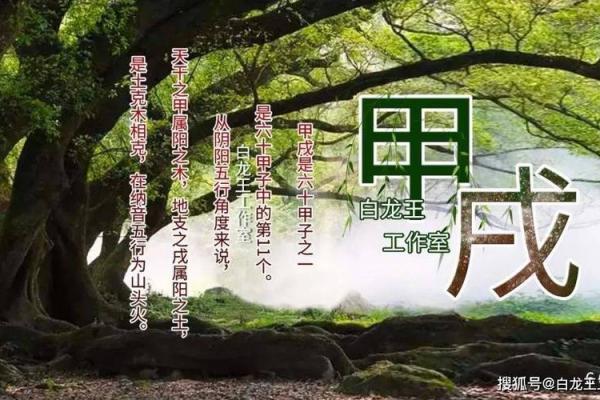 从命运看性格：不同人生轨迹的背后故事