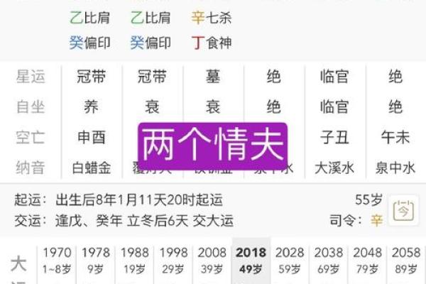 探索八字命理：丁酉、己酉、甲寅、辛未命格分析与人生导向