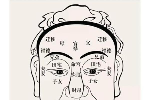 男人鼻头尖解析：探秘鼻相学中的命运玄机