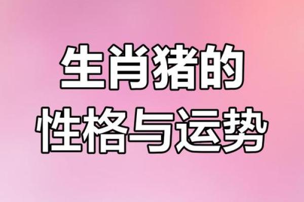 属猪男孩命理解析：最佳命运与成长方向