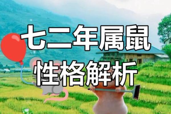 揭秘“秀才命”：生肖与命运的奇妙联系