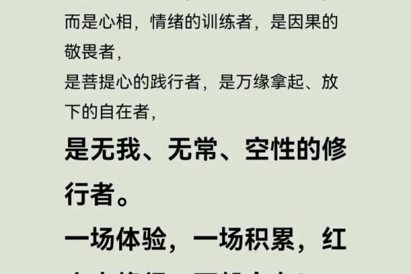 红尘命：在纷扰世界中探寻自我与生命的意义