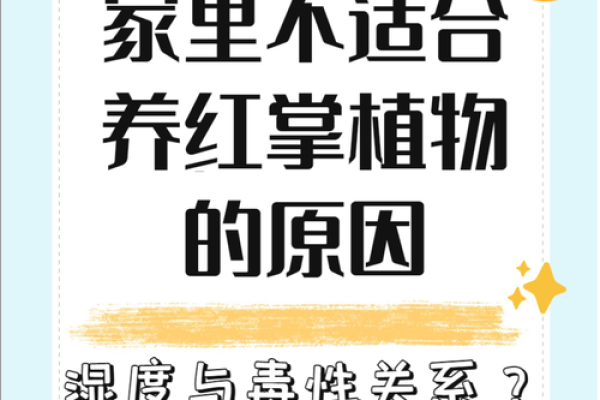 红枫花的命运：为什么你不能养？揭秘其中奥秘！