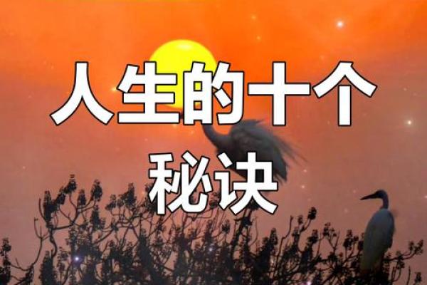 探索1974年命主的独特命运与人生智慧
