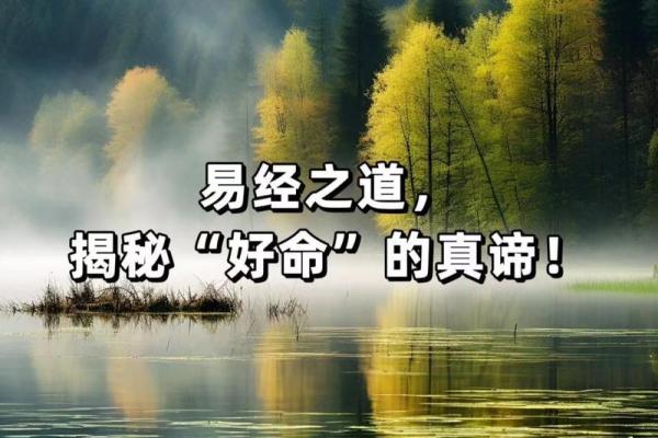发财与命运：当命运与努力交织，致富的真谛是什么？