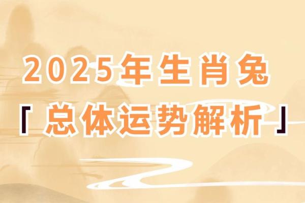 揭秘39年属兔人的命运与寿命：拥有怎样的未来？