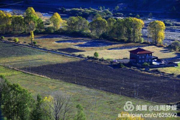 2004年：木之命与五彩斑斓的色彩之旅