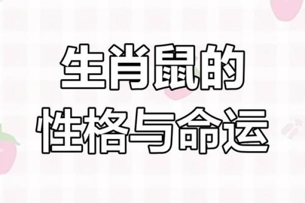 1992年老鼠年：性格与命运的揭秘