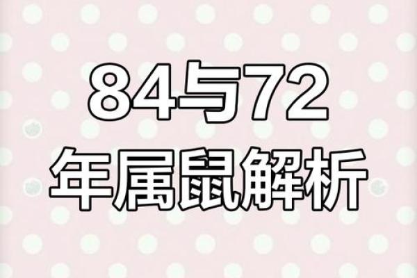 1992年老鼠年：性格与命运的揭秘