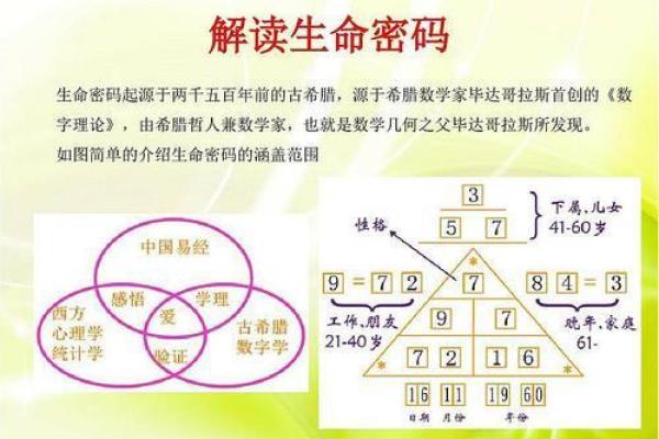 从面部纹路解密富贵命运，揭示隐藏的财富密码！