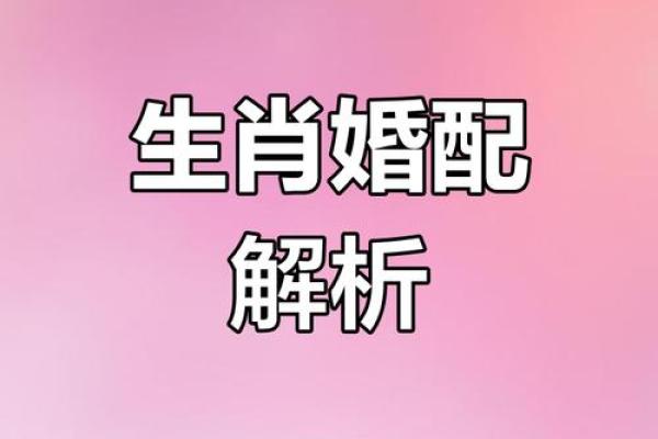 1959年属猪女的命运分析：探索她的个性与生活轨迹