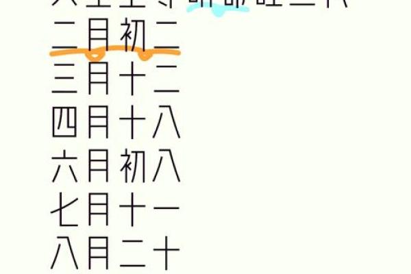 夏天出生的人命运解析：热情与活力的象征