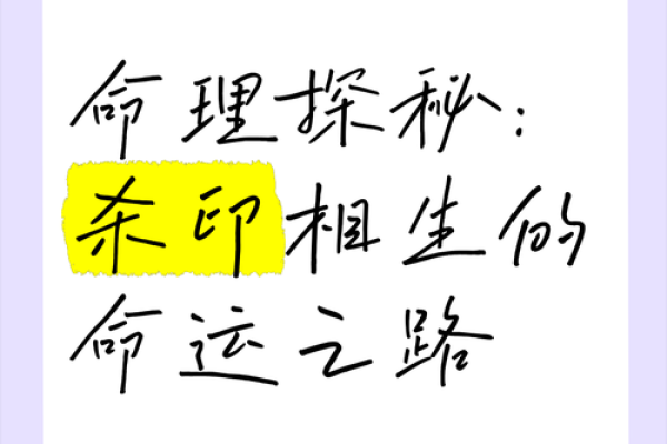 海外命理项目的神秘魅力：揭示人生方向与命运奥秘