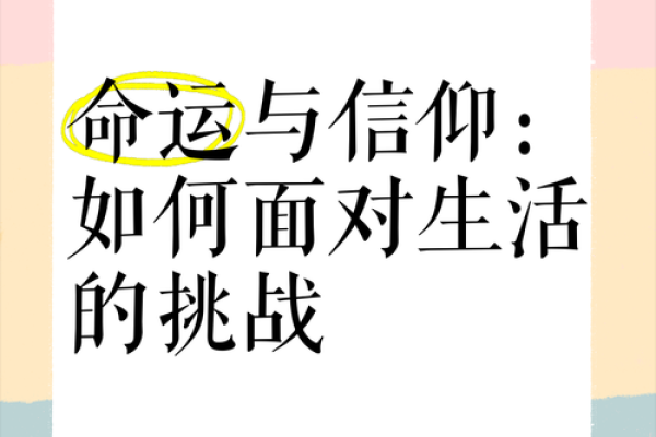 二零一一年的命运启示：从挑战中寻找机遇的智慧