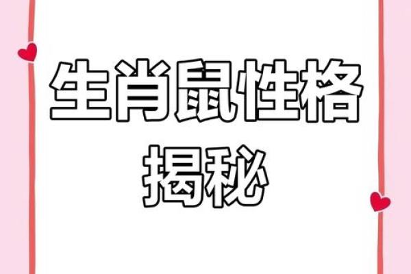 属老鼠下午出生的人命运与性格揭秘