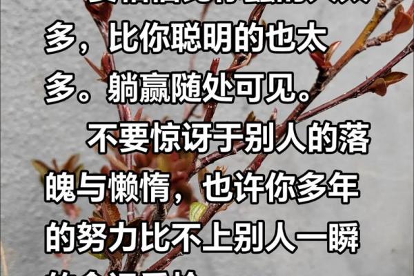 不努力的人终将无所作为，努力才是改变命运的关键