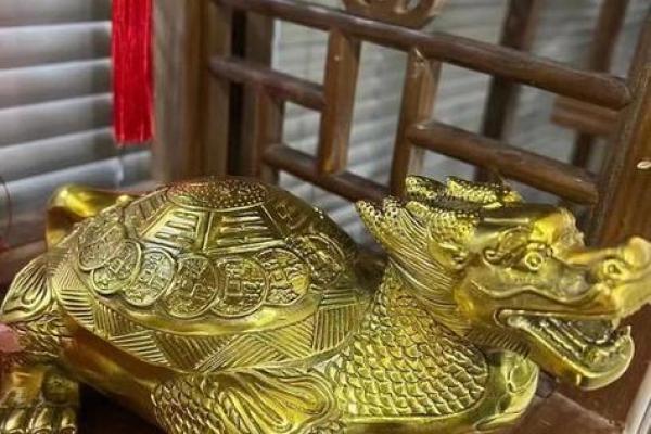 喜欢什么龟代表命好，解密龟与运势的深厚联系！