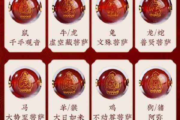 属猪水命的最佳手串选择，增运提升你的魅力与运势！