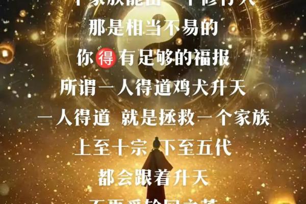 一世命即百世命：探讨生命的轮回与宿命的哲学思考